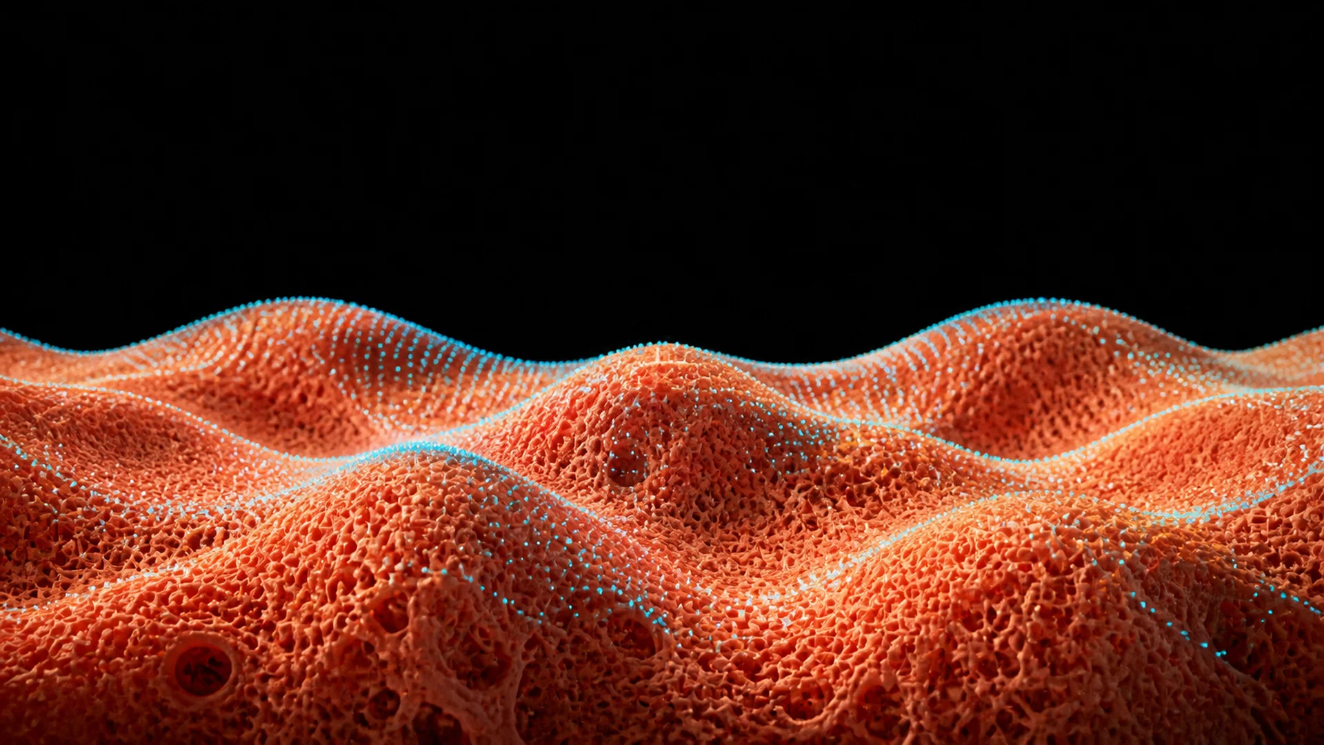 Coral Soft Dunes Terrain — image 2
