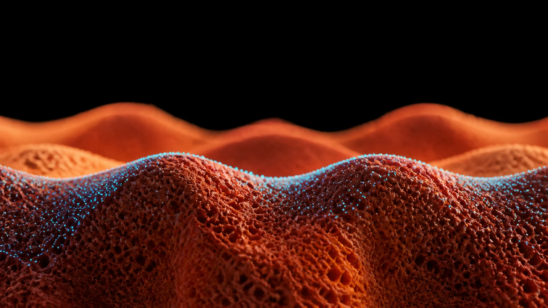 Coral Soft Dunes Terrain — image 3