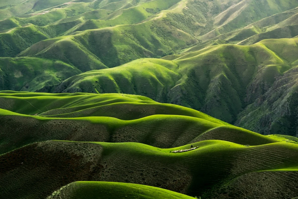 Open hills