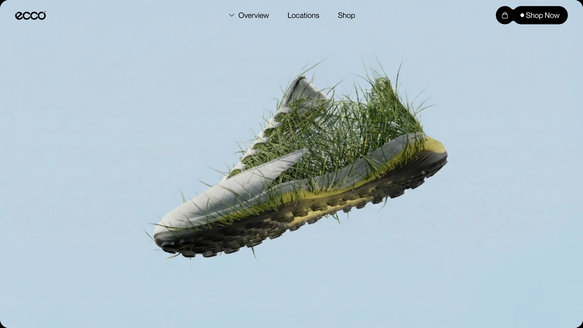 ECCO — image 2