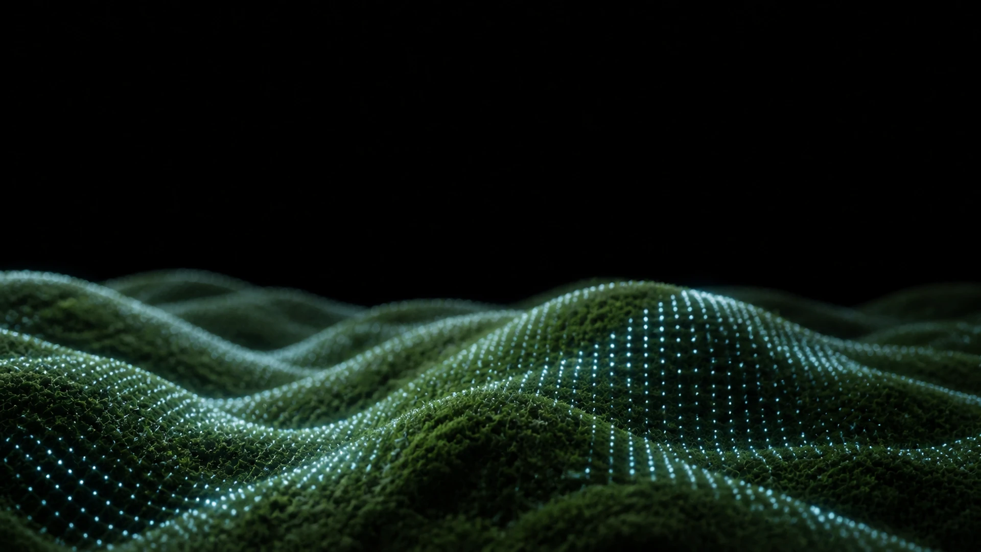 Forest Soft Dunes Terrain — image 3
