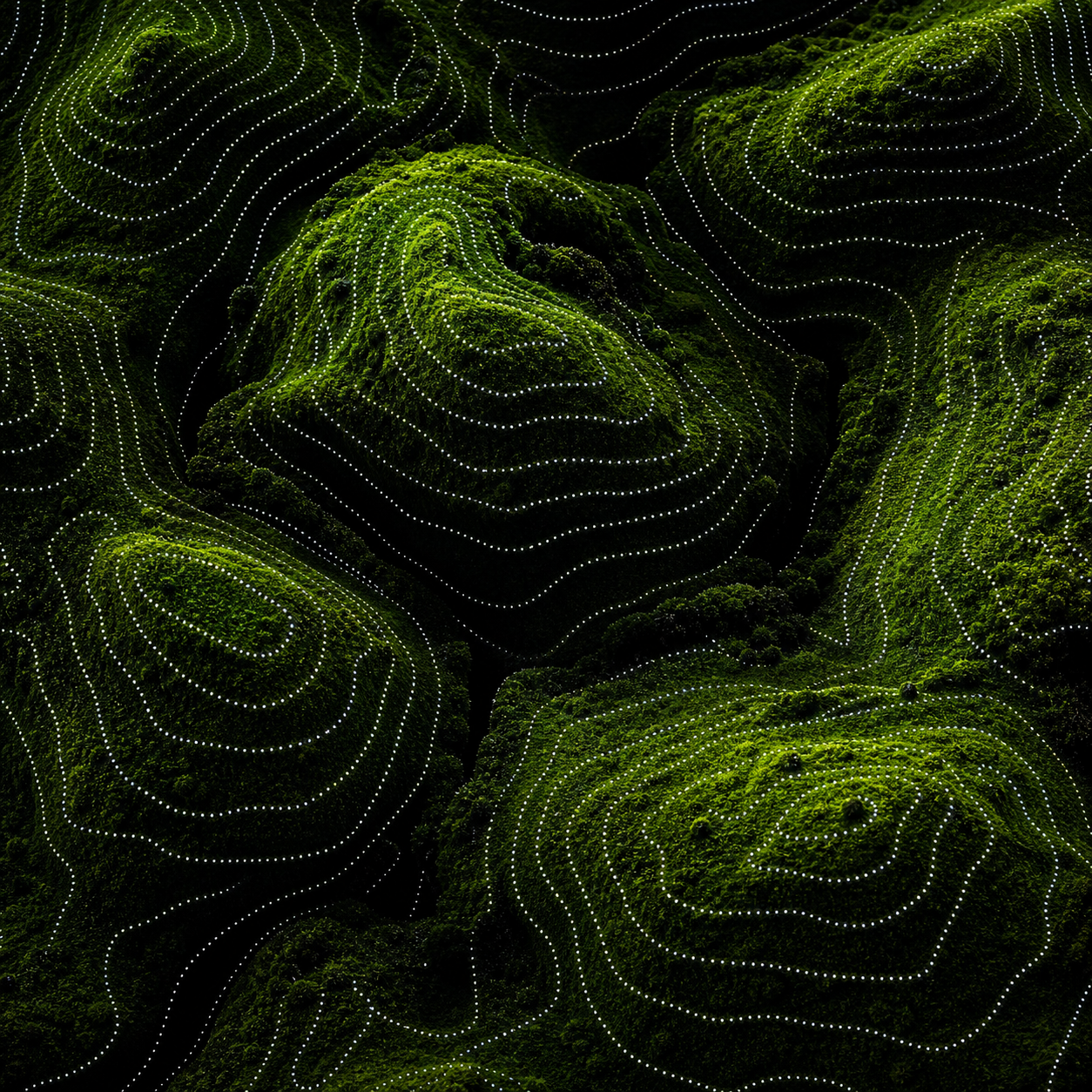 Luminous Topo — image 1