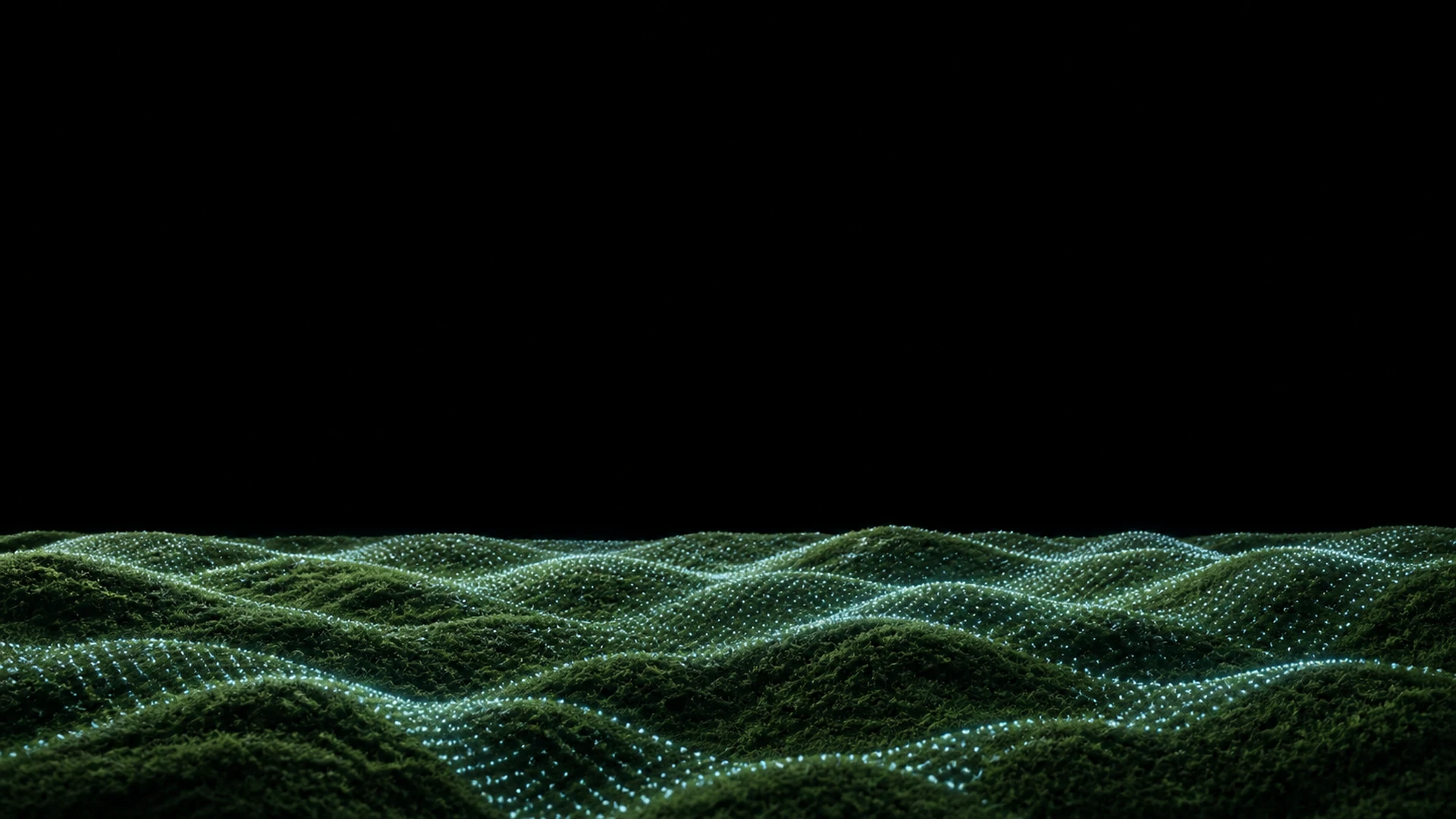 Moss Terrain Colorways — image 1