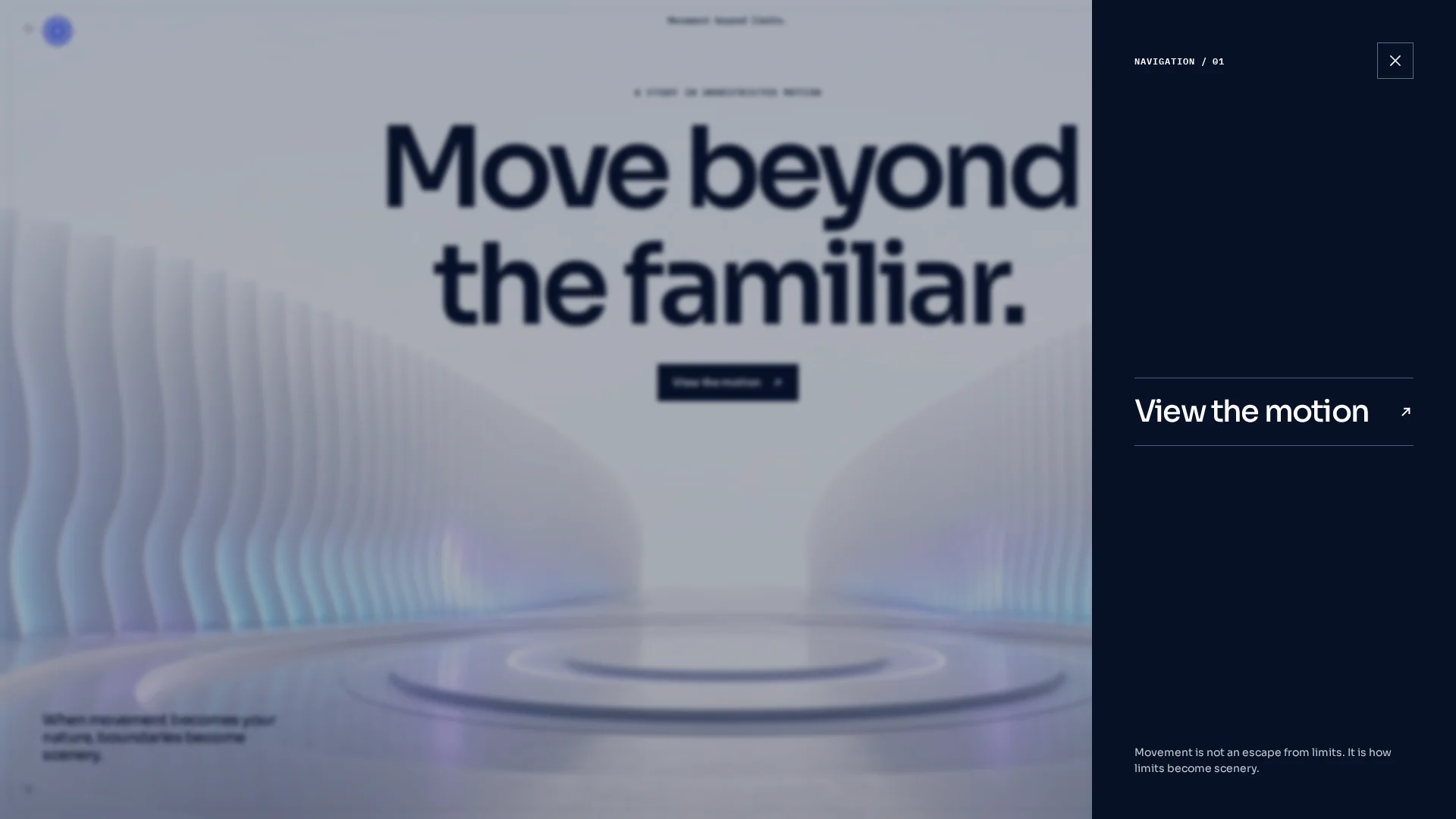Movement Beyond Hero — image 3