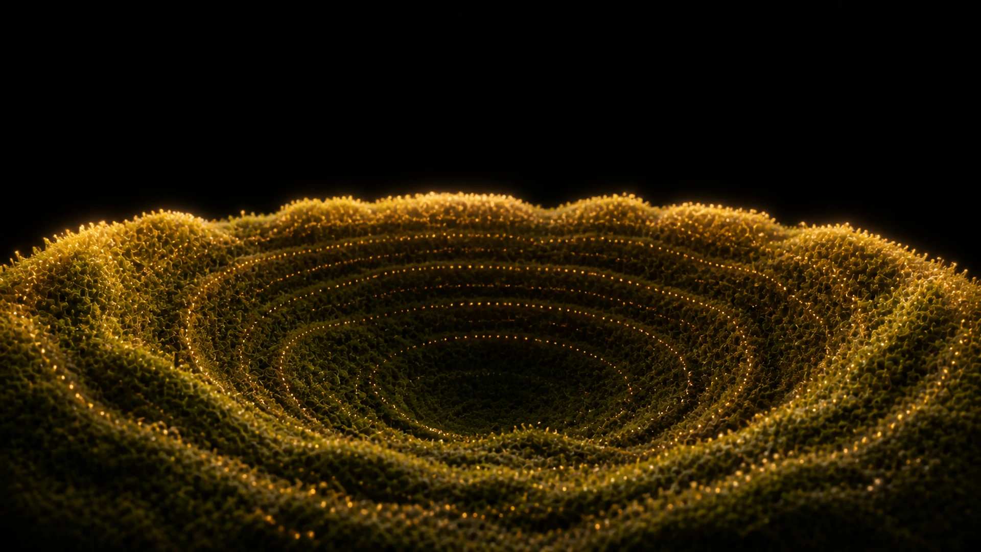 Olive Bowl Terrain — image 4