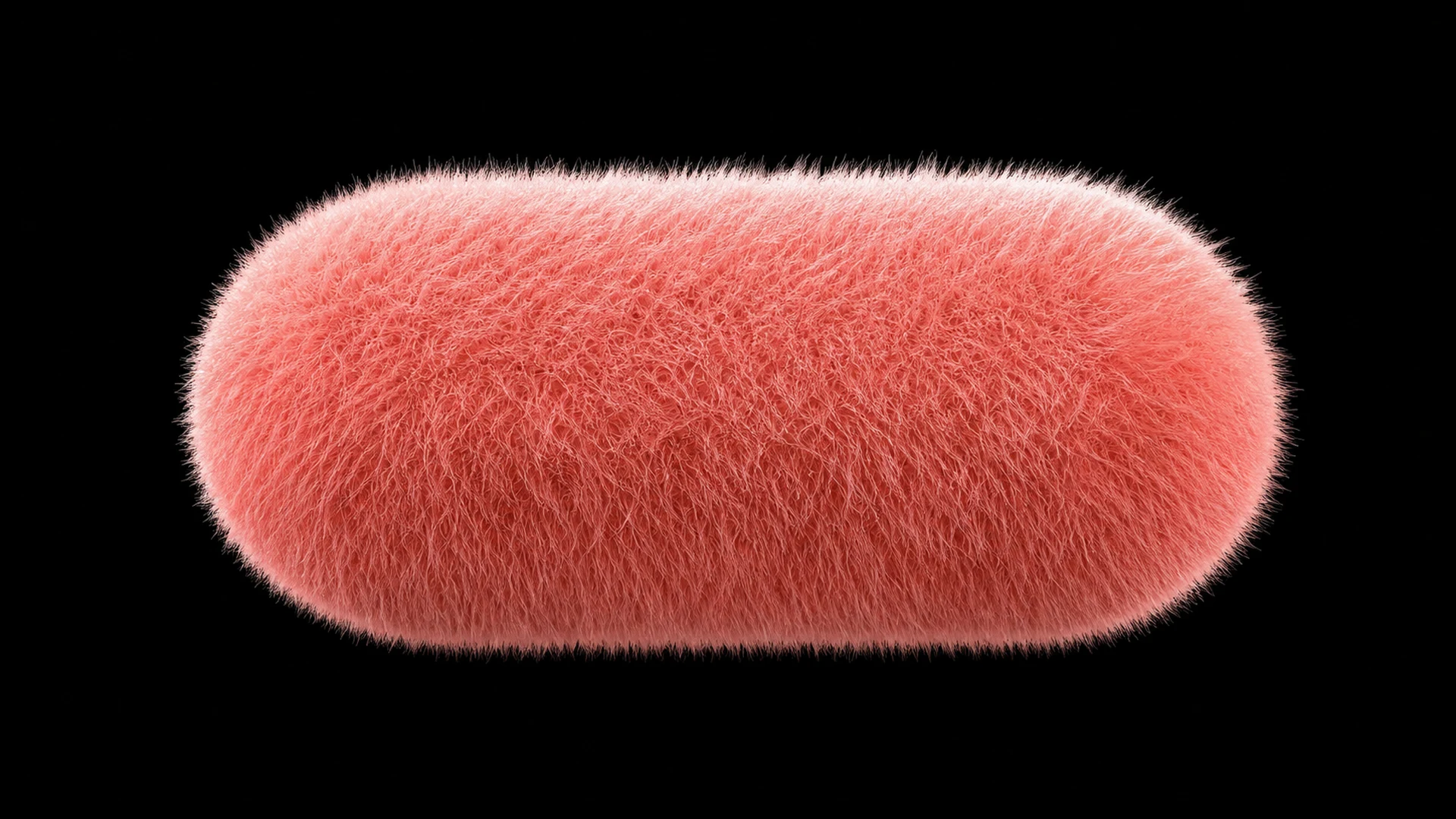 Pink Fluffy — image 3
