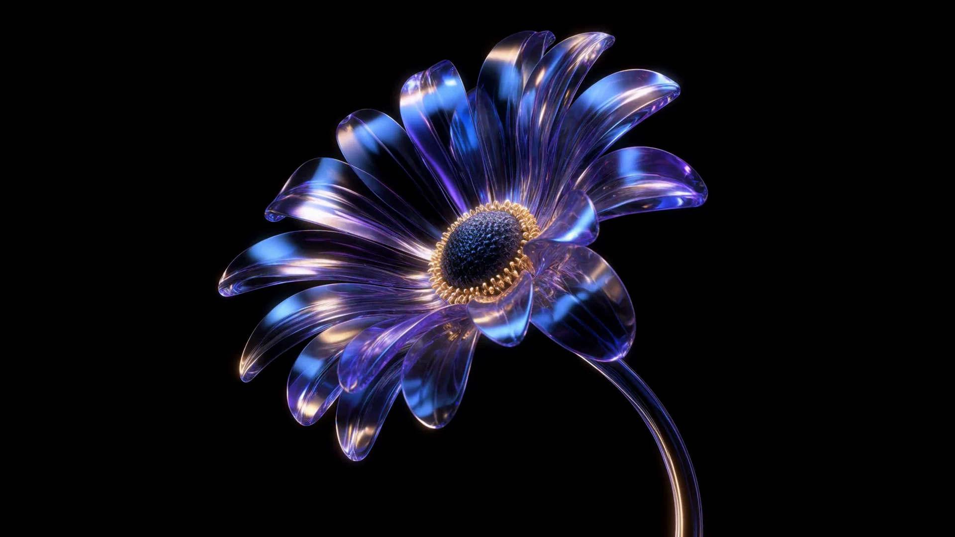 Sapphire Bloom Orbital Motion — image 2