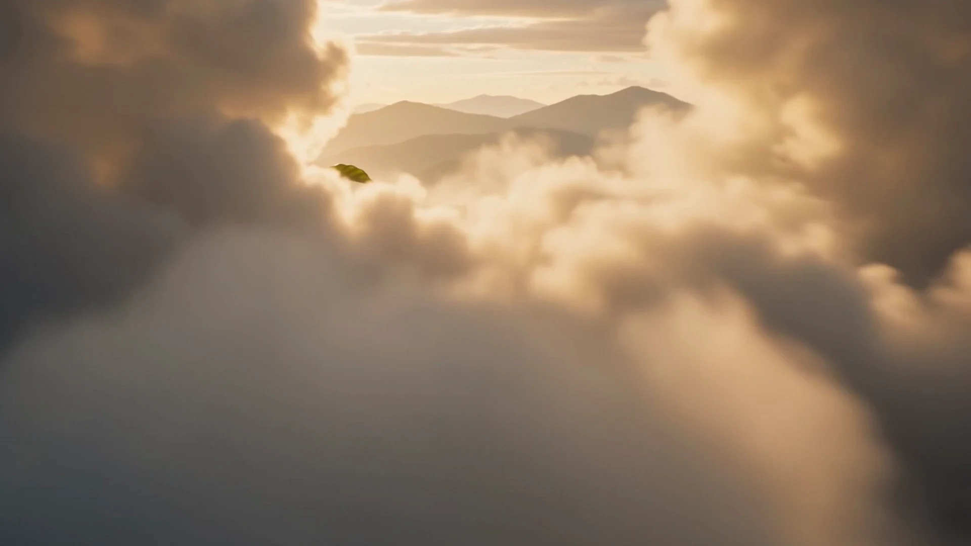 Single Origin Coffee Journey Motion — image 2