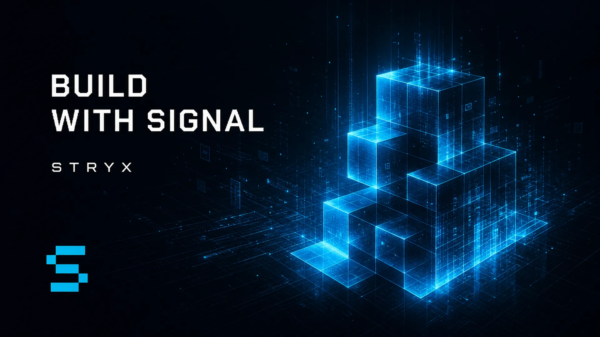 STRYX Brand System — image 4