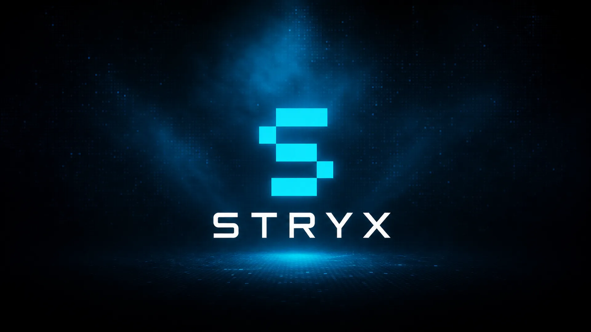 STRYX Brand System — image 1