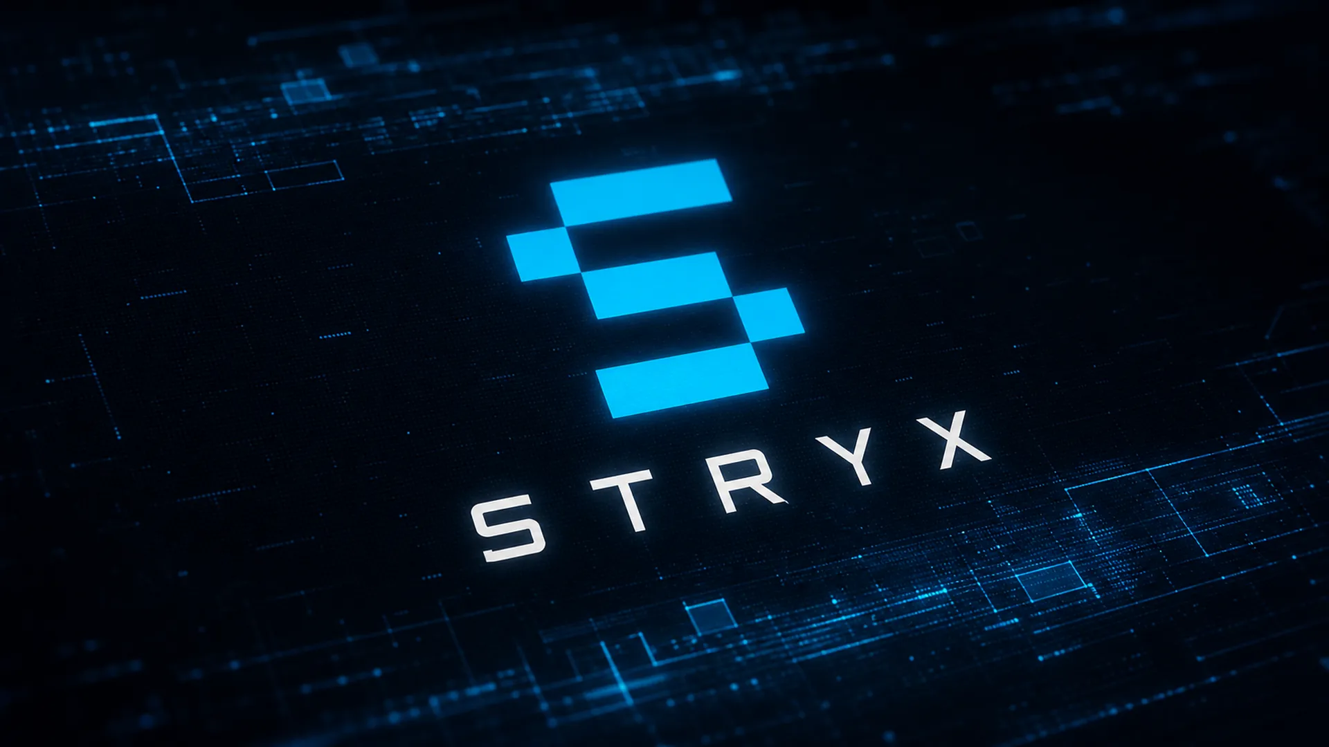 STRYX Brand System — image 5