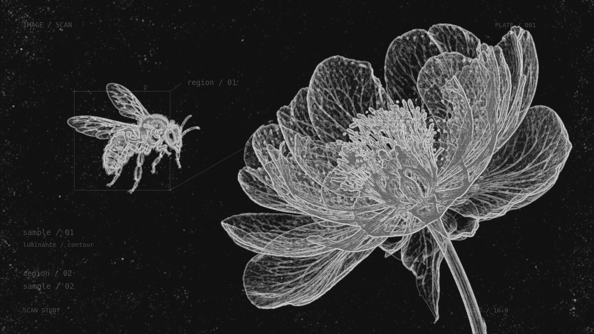 Nectar Scan — image 1