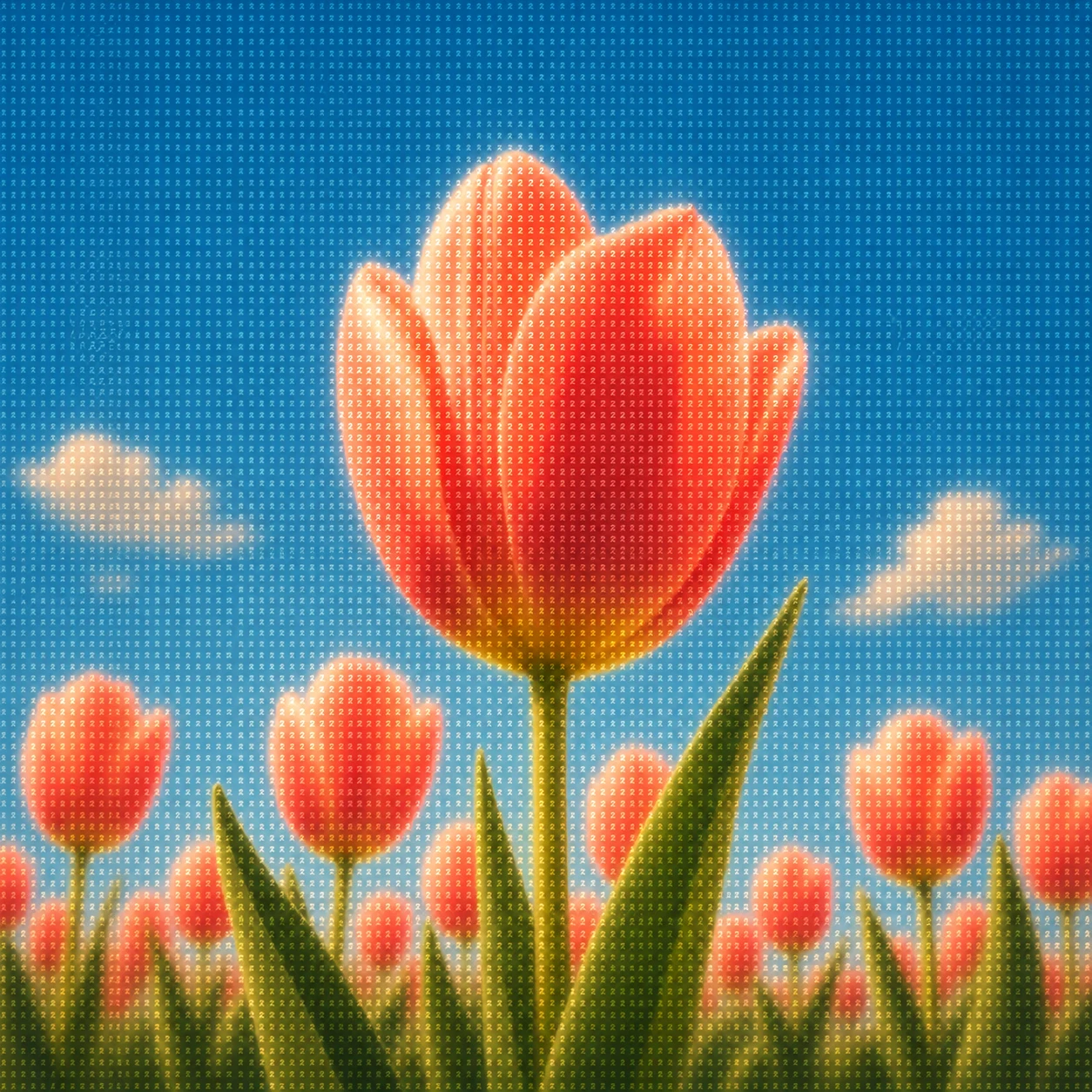 Tulip Signal Field — image 1