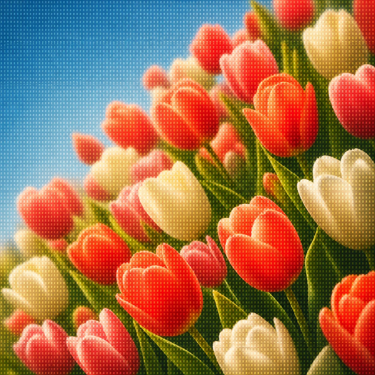 Tulip Signal Field — image 3
