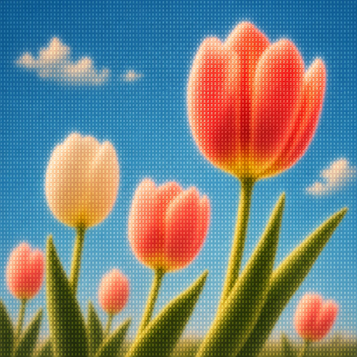 Tulip Signal Field — image 4
